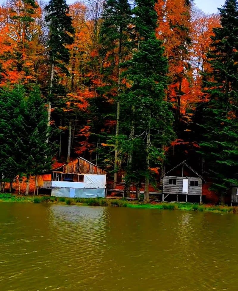 Ultimate Guide to Traveling in Bolu