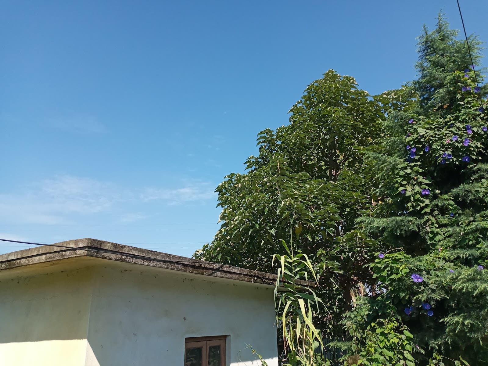 Peace Garden - Katmandu - Nepal