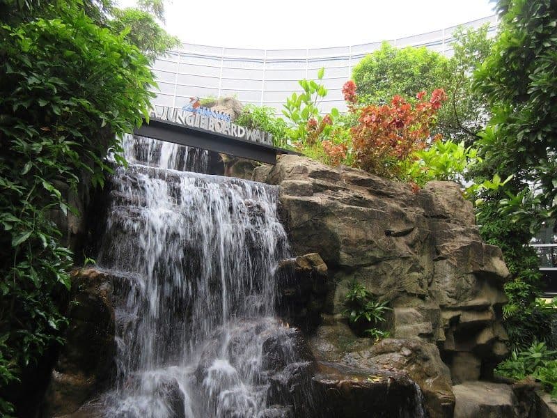 KLIA Jungle Boardwalk - Sepang - Malaysia - Booked ai