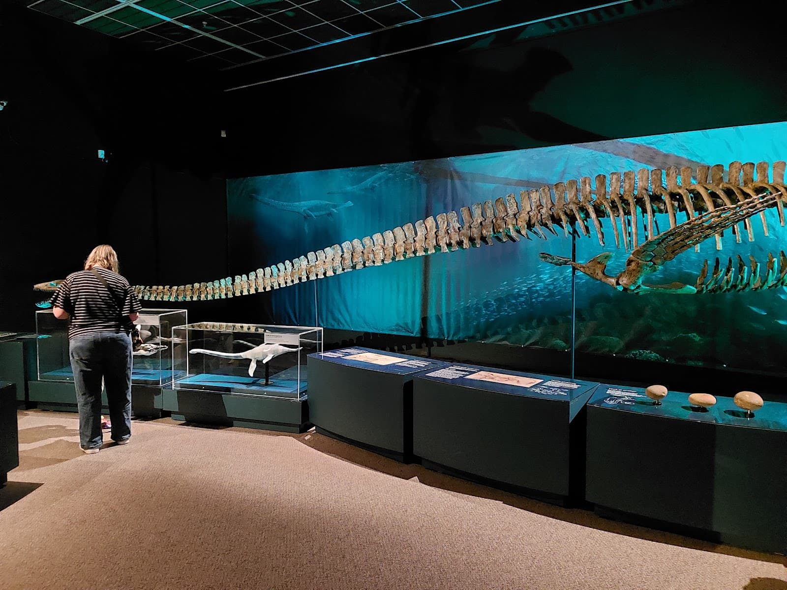 Tuhura Otago Museum - Oamaru - New Zealand