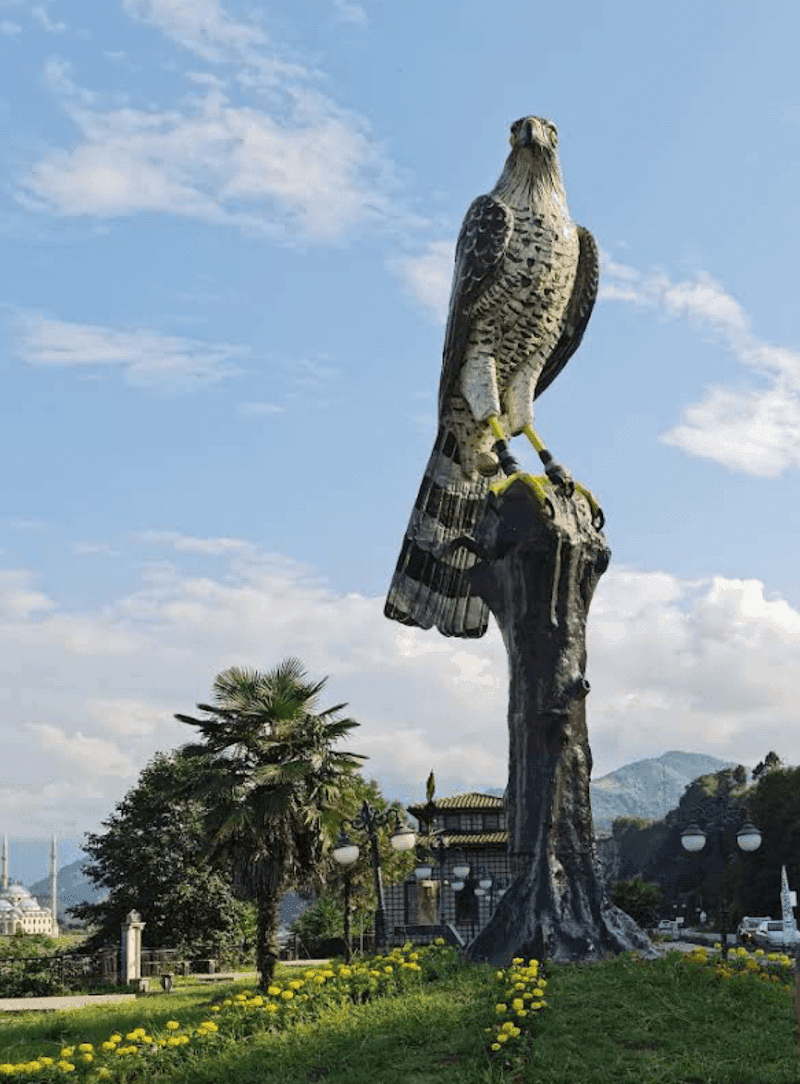 Rize Secrets - Best Hidden Gems in Rize