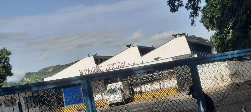 Valera Unveiled - Top Hidden Gems to Explore