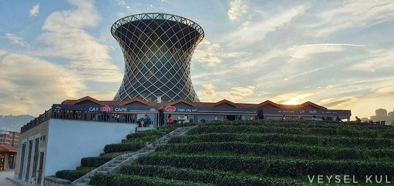 Ultimate Rize Travel Guide - Optimal Visiting Times