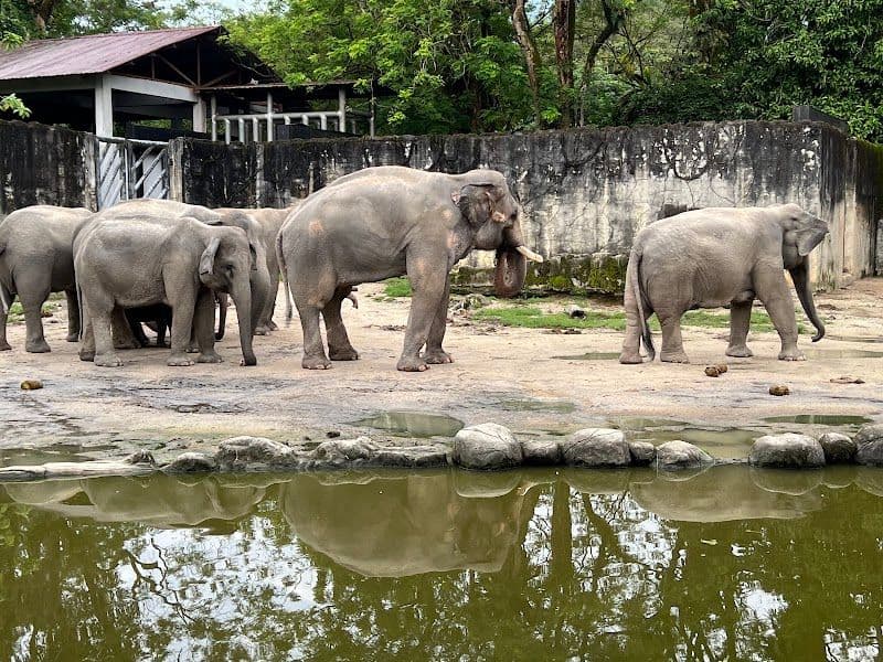 Zoo Taiping & Night Safari - Taiping - Malaysia - Booked ai