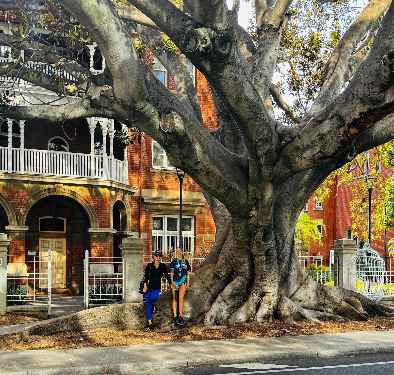 Royal Perth Hospital Museum - Perth - Australia