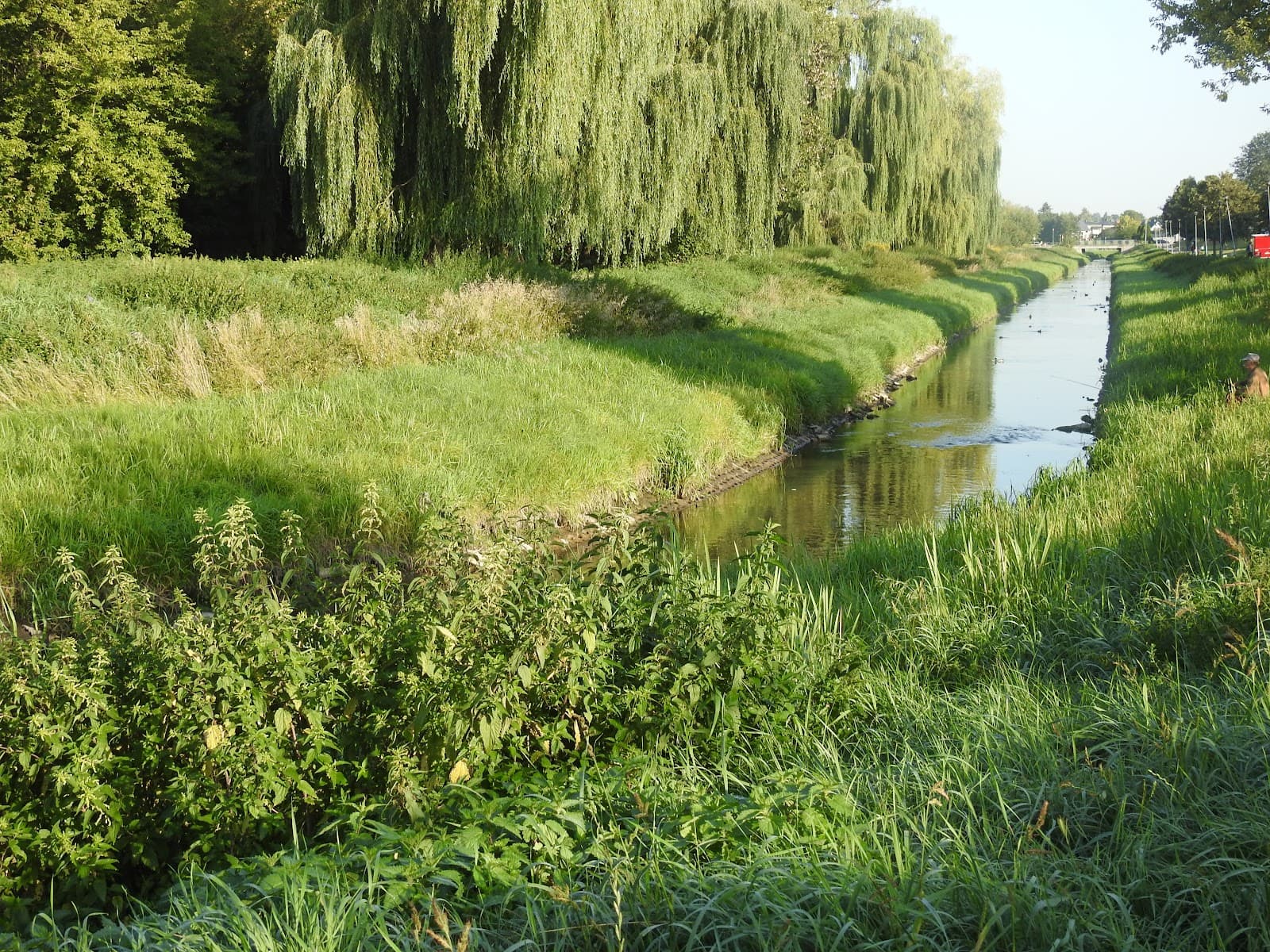 Bulwar Loughborough - Zamosc - Poland