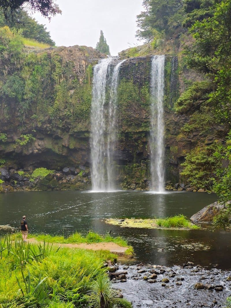 Whangarei Falls - Whangārei - New Zealand - Booked ai