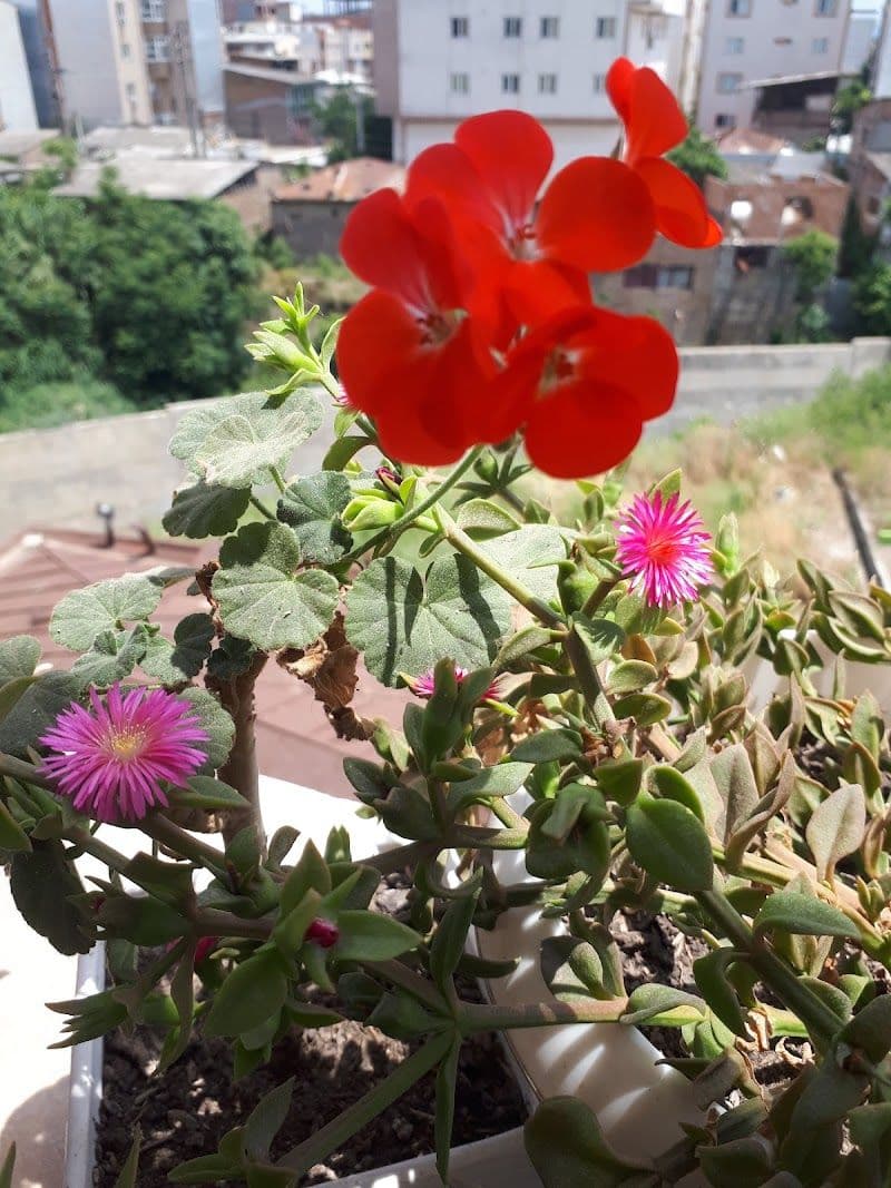 Top Hidden Gems to Explore in Gorgan