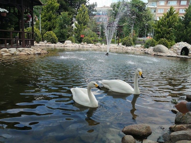 Kırıkkale Şehitler Parkı - Kırıkkale - Turkey - Booked ai