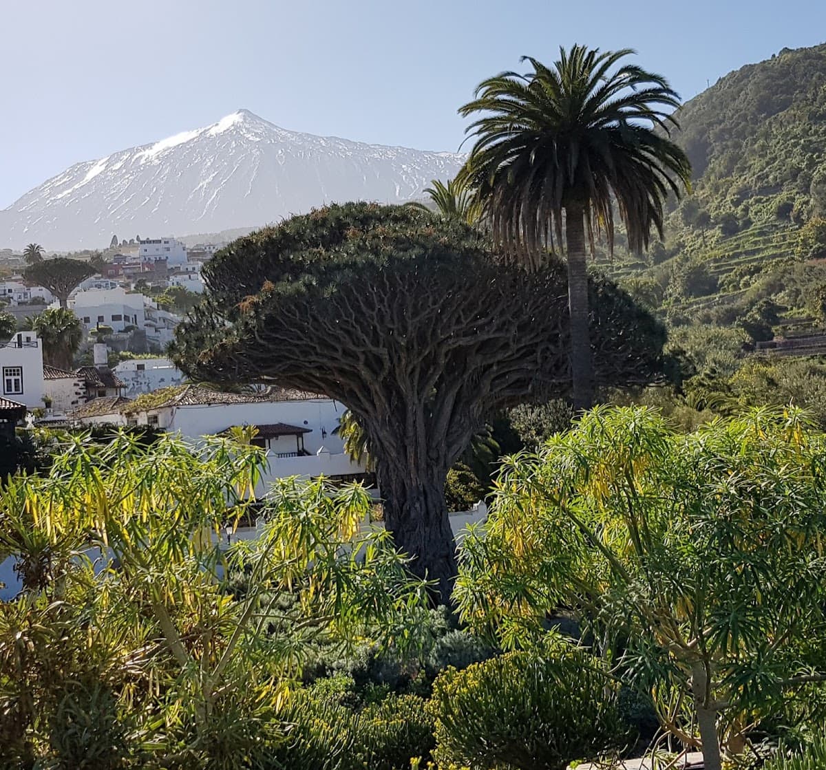 City image of Tenerife