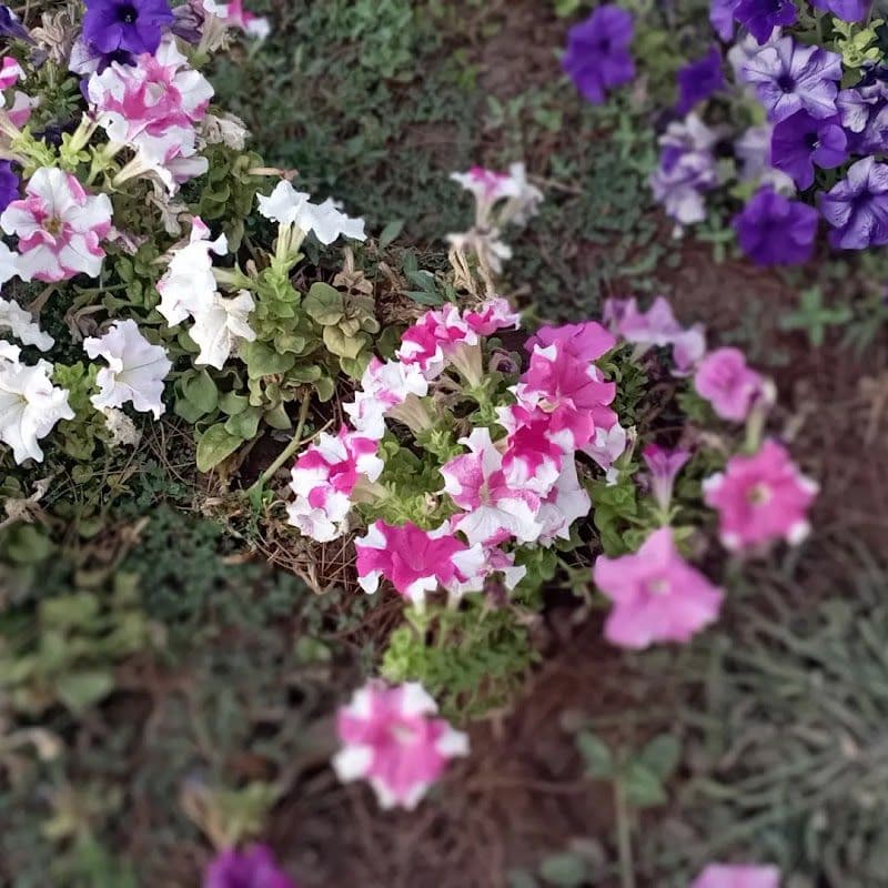 Zarand Gems: Exploring Hidden Treasures