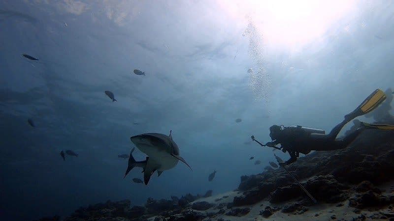 Fuvahmulah Travel Guide - Optimal Visiting Period