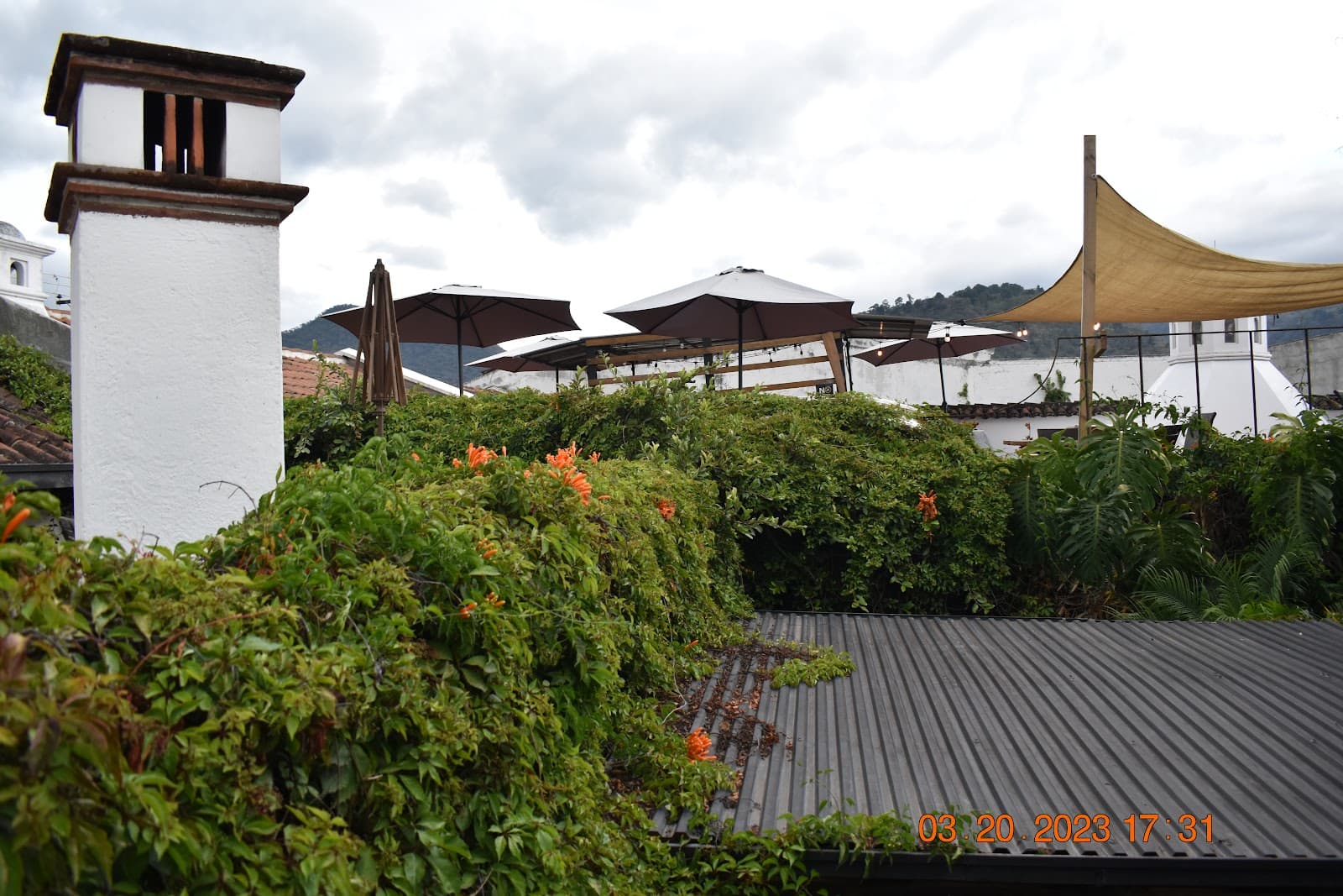 Cissus Hotel Boutique - Antigua - Guatemala