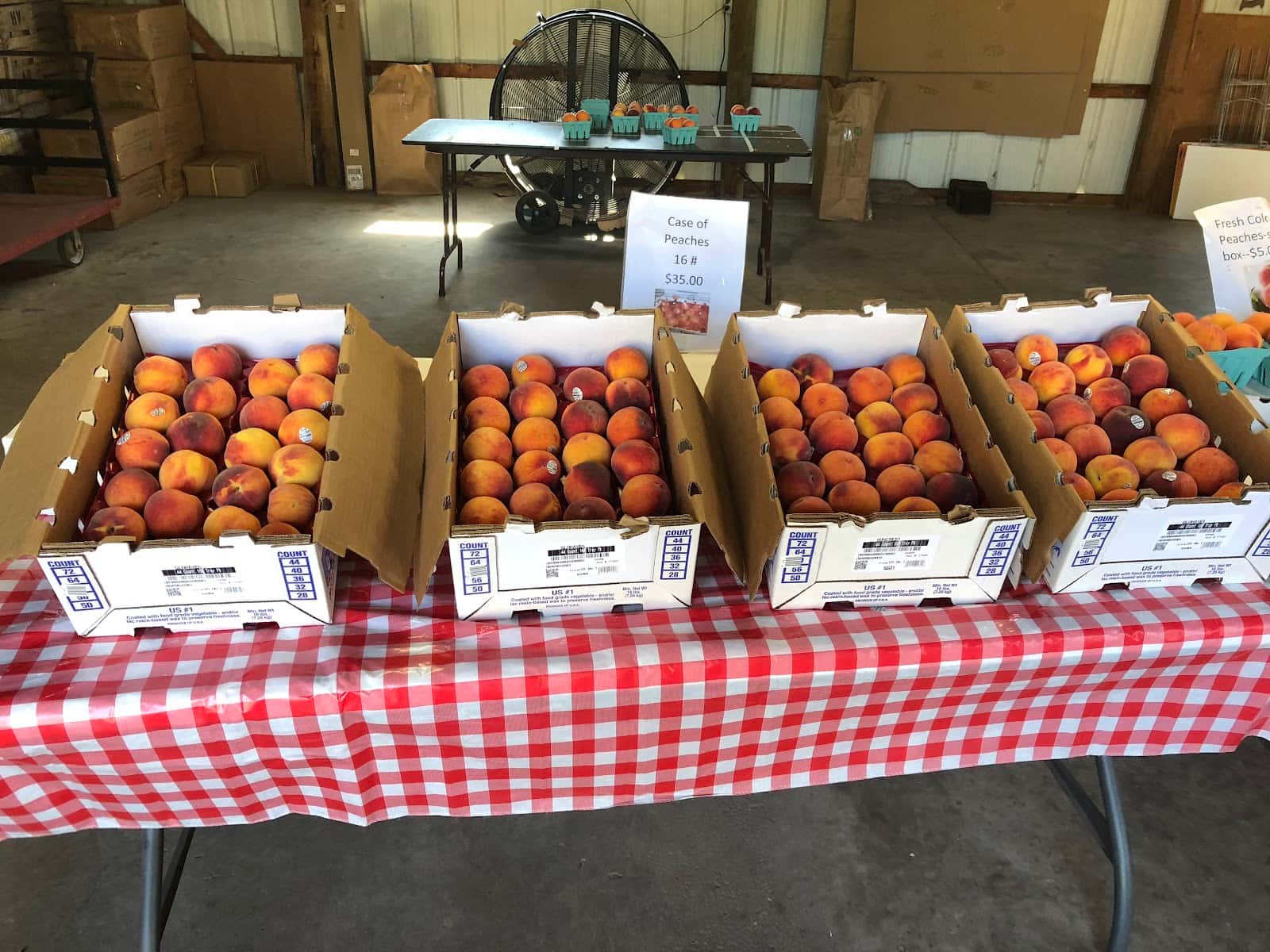 Rabideauxs Bayfield Fruit Co