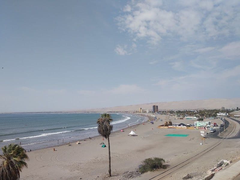 Chinchorro Beach - Arica - Chile - Booked ai