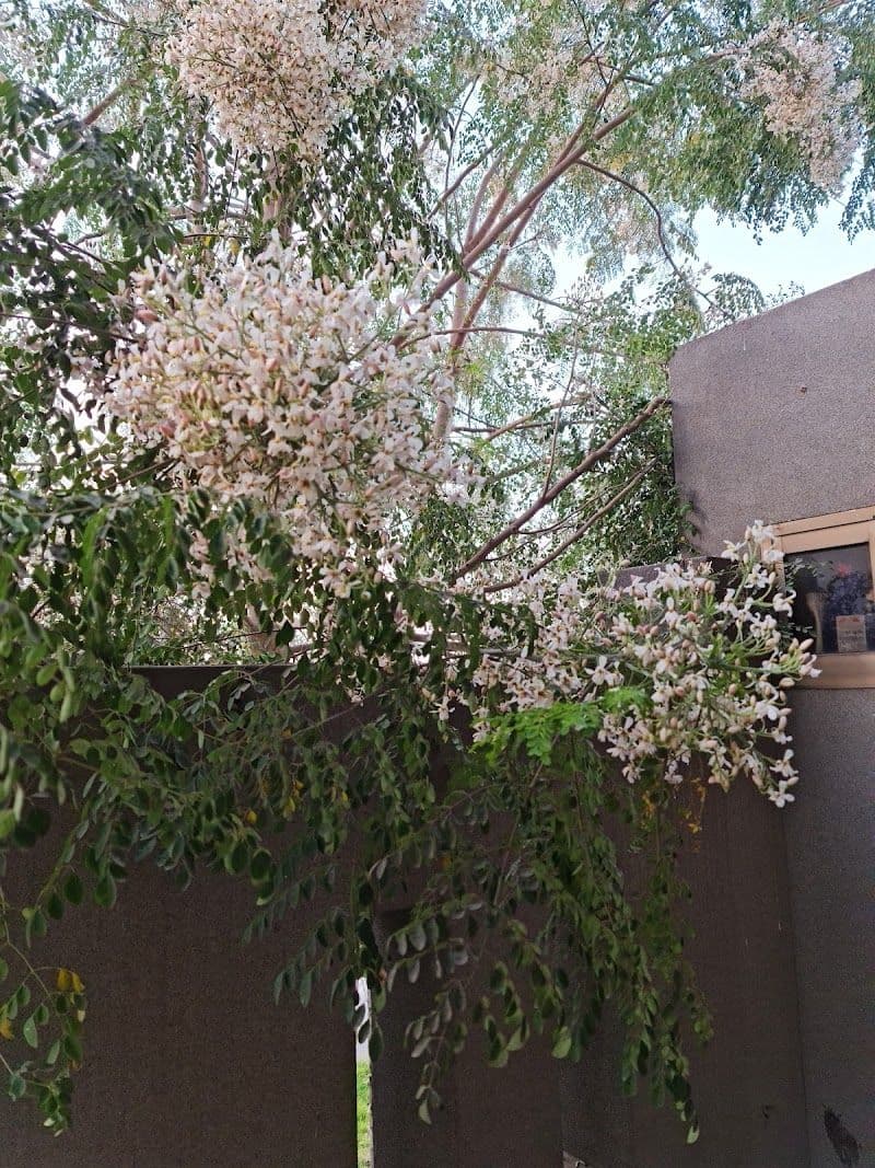 Ultimate Guide to Visiting Jhang