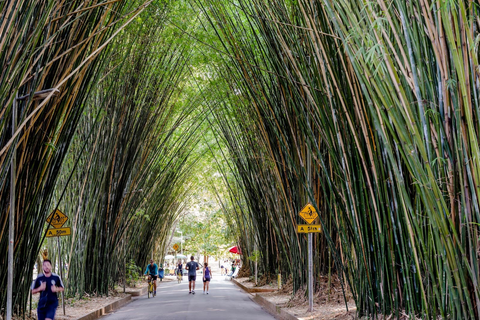 Ibirapuera Park - São Paulo - Brazil