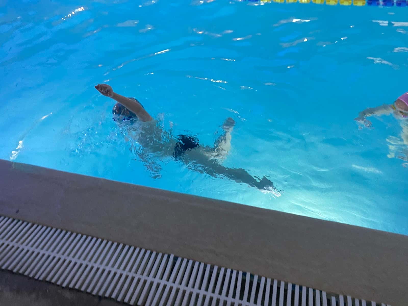 Aquastars Эдельвейс