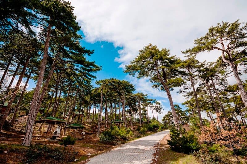 Çamlica Nature Park - Kütahya - Türkiye - Booked ai