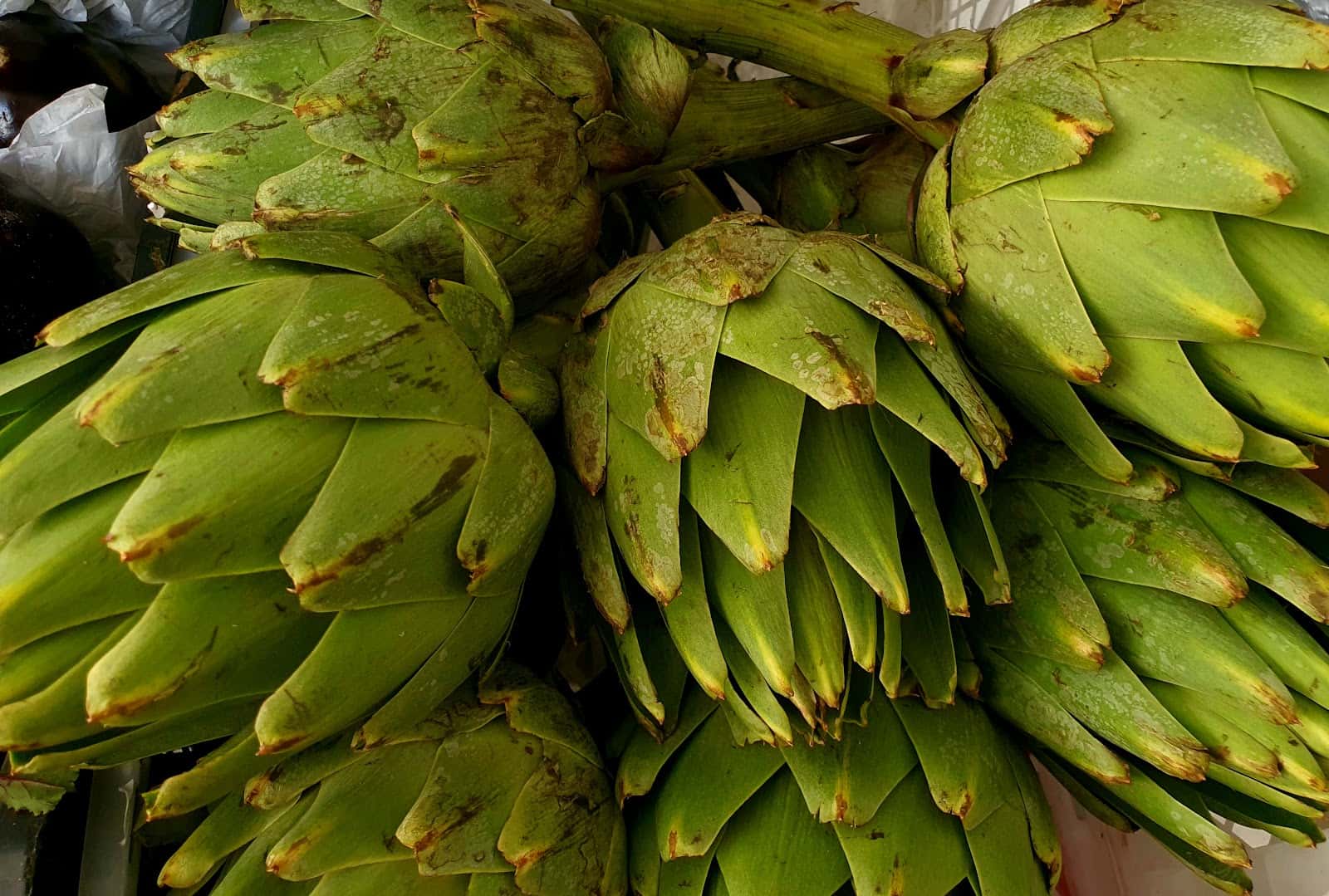 Fruteria la Guera DUME
